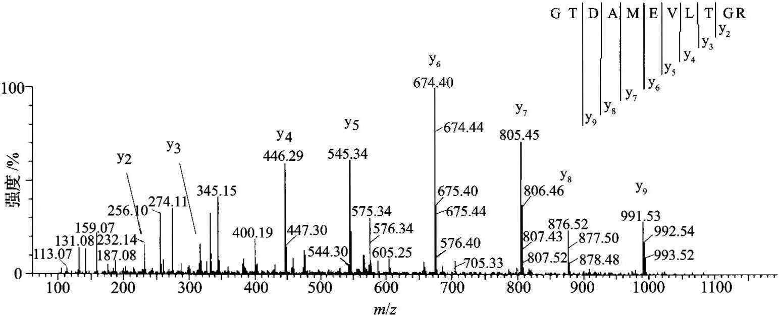 8.6 用MS/MS進(jìn)行多肽測序